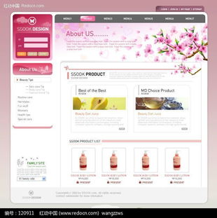 专业日化洗涤用品网页模板设计下载与网络技术服务解析