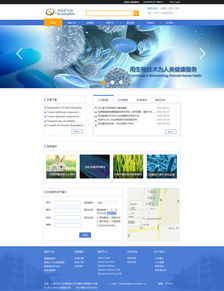 网页设计 打造用户体验至上的Web页面